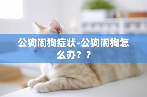 公狗鬧狗癥狀-公狗鬧狗怎么辦？？