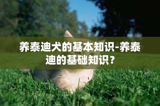 養泰迪犬的基本知識-養泰迪的基礎知識？