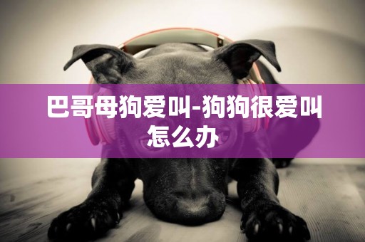 巴哥母狗愛叫-狗狗很愛叫怎么辦