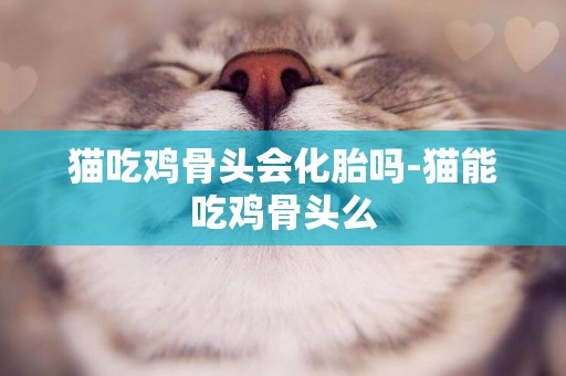 貓吃雞骨頭會化胎嗎-貓能吃雞骨頭么