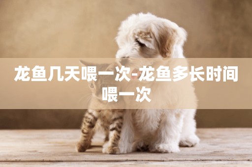 龍魚幾天喂一次-龍魚多長時間喂一次