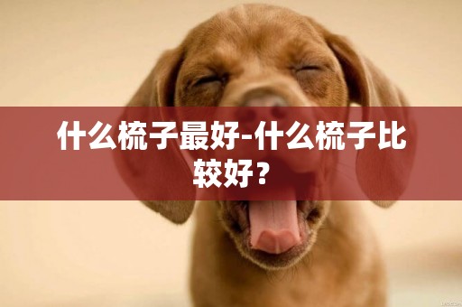 什么梳子最好-什么梳子比較好？