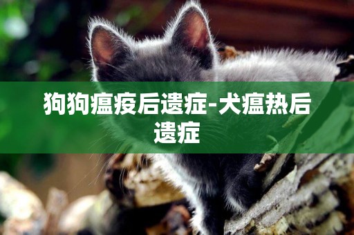 狗狗瘟疫后遺癥-犬瘟熱后遺癥