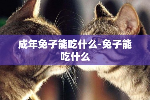 成年兔子能吃什么-兔子能吃什么