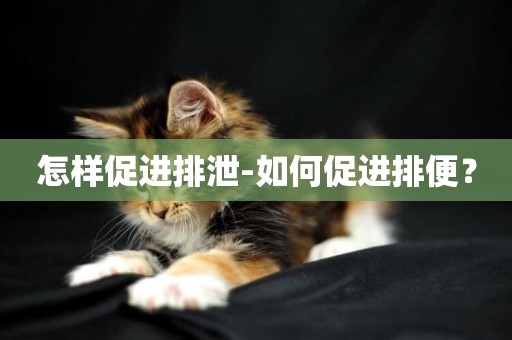 怎樣促進排泄-如何促進排便？