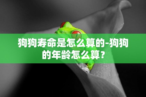 狗狗壽命是怎么算的-狗狗的年齡怎么算？