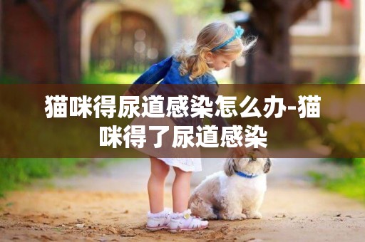 貓咪得尿道感染怎么辦-貓咪得了尿道感染