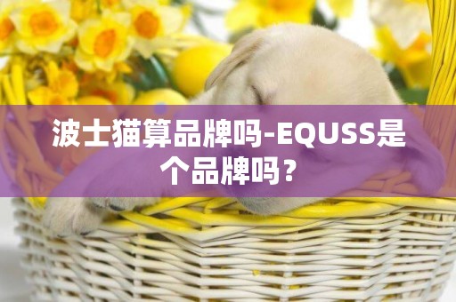 波士貓算品牌嗎-EQUSS是個品牌嗎？