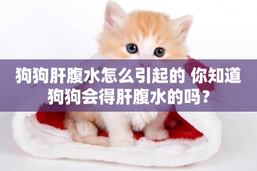 狗狗肝腹水怎么引起的 你知道狗狗會得肝腹水的嗎？