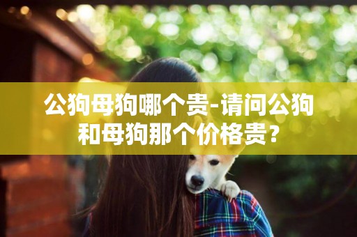 公狗母狗哪個貴-請問公狗和母狗那個價格貴？