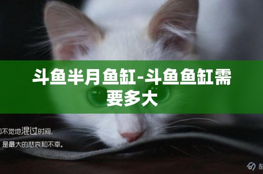 斗魚半月魚缸-斗魚魚缸需要多大