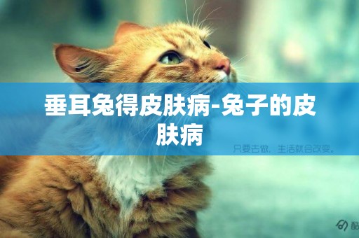垂耳兔得皮膚病-兔子的皮膚病
