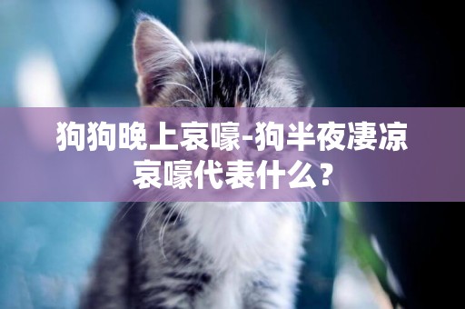 狗狗晚上哀嚎-狗半夜凄涼哀嚎代表什么？