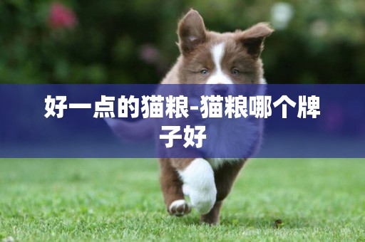 好一點的貓糧-貓糧哪個牌子好