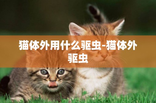 貓體外用什么驅蟲-貓體外驅蟲