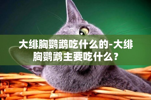大緋胸鸚鵡吃什么的-大緋胸鸚鵡主要吃什么？