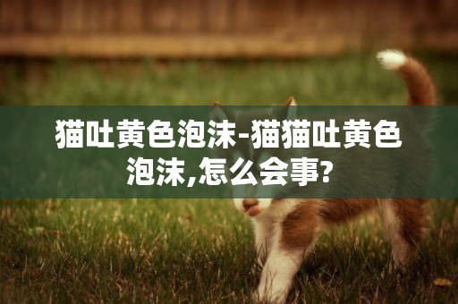 貓吐黃色泡沫-貓貓吐黃色泡沫,怎么會事?