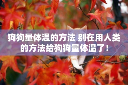 狗狗量體溫的方法 別在用人類的方法給狗狗量體溫了！