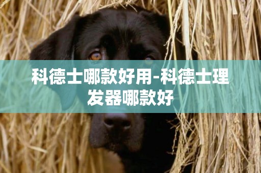 科德士哪款好用-科德士理發器哪款好