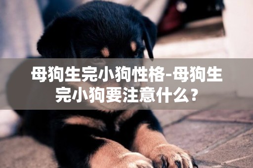 母狗生完小狗性格-母狗生完小狗要注意什么？