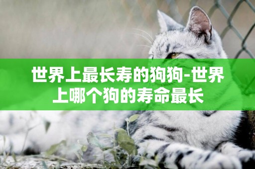 世界上最長壽的狗狗-世界上哪個狗的壽命最長