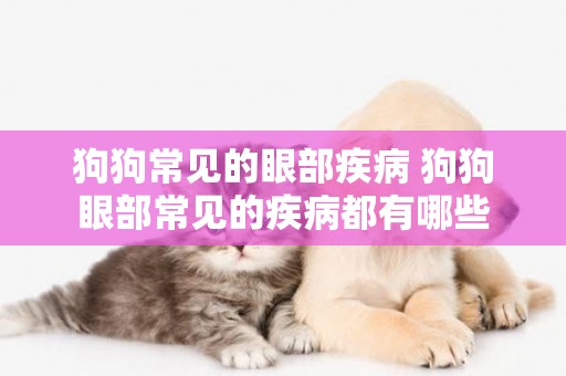 狗狗常見的眼部疾病 狗狗眼部常見的疾病都有哪些