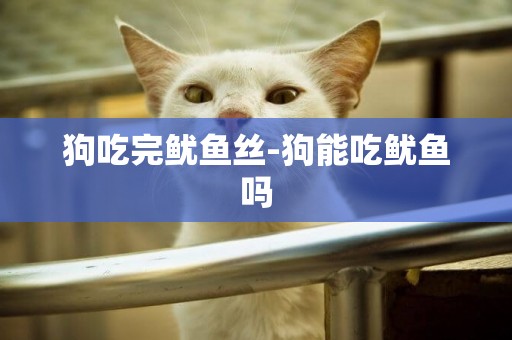 狗吃完魷魚絲-狗能吃魷魚嗎