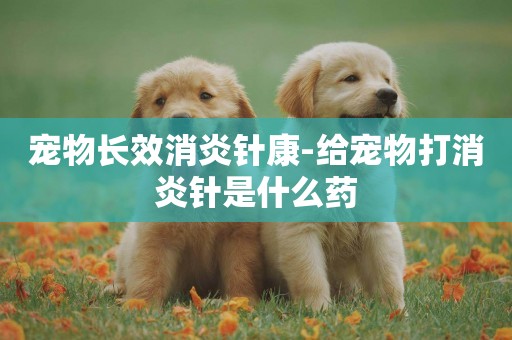 寵物長效消炎針康-給寵物打消炎針是什么藥