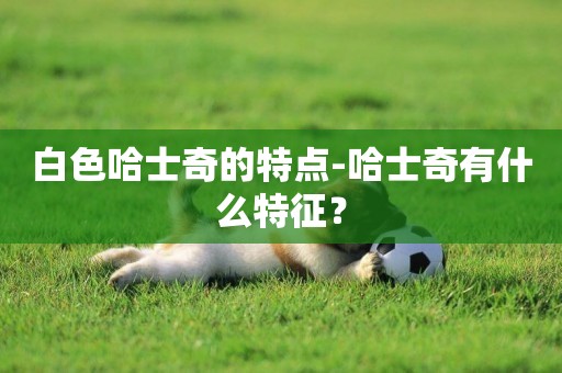白色哈士奇的特點-哈士奇有什么特征？