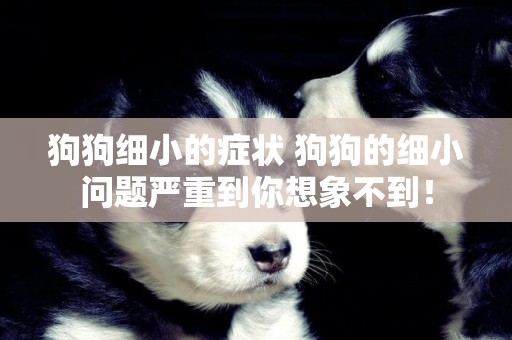 狗狗細小的癥狀 狗狗的細小問題嚴重到你想象不到！