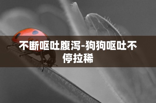 不斷嘔吐腹瀉-狗狗嘔吐不停拉稀