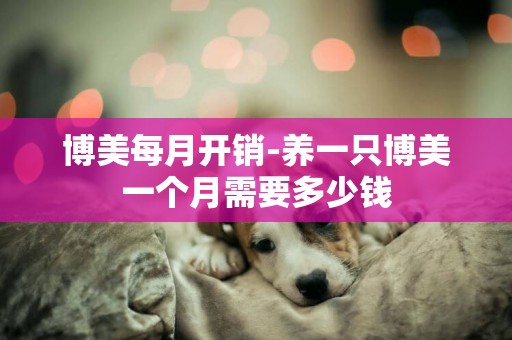 博美每月開銷-養一只博美一個月需要多少錢