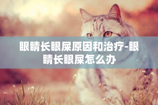 眼睛長眼屎原因和治療-眼睛長眼屎怎么辦