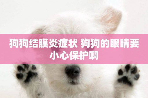 狗狗結膜炎癥狀 狗狗的眼睛要小心保護啊