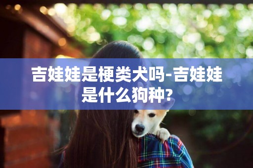 吉娃娃是梗類犬嗎-吉娃娃是什么狗種?
