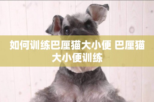 如何訓練巴厘貓大小便 巴厘貓大小便訓練