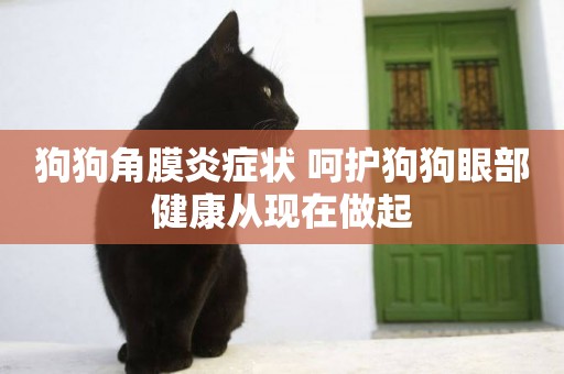 狗狗角膜炎癥狀 呵護狗狗眼部健康從現在做起