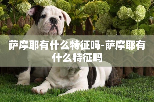 薩摩耶有什么特征嗎-薩摩耶有什么特征嗎