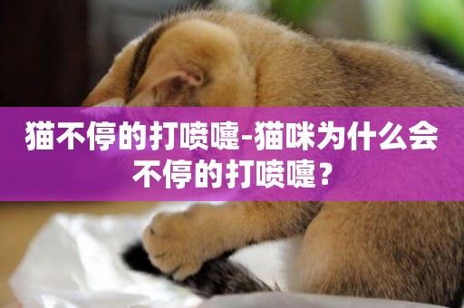 貓不停的打噴嚏-貓咪為什么會不停的打噴嚏？