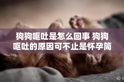 狗狗嘔吐是怎么回事 狗狗嘔吐的原因可不止是懷孕簡單哦！