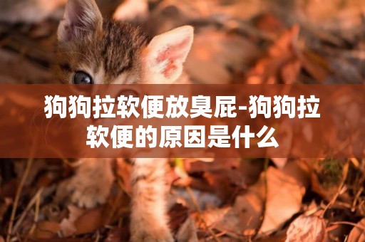 狗狗拉軟便放臭屁-狗狗拉軟便的原因是什么