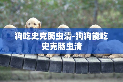 狗吃史克腸蟲清-狗狗能吃史克腸蟲清
