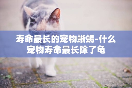 壽命最長的寵物蜥蜴-什么寵物壽命最長除了龜