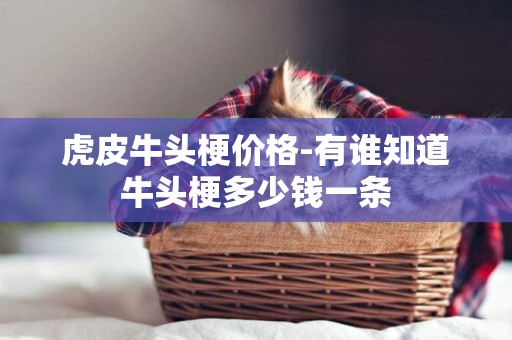虎皮牛頭梗價格-有誰知道牛頭梗多少錢一條