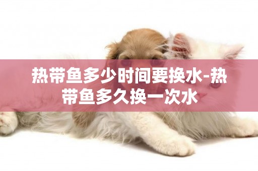 熱帶魚多少時間要換水-熱帶魚多久換一次水