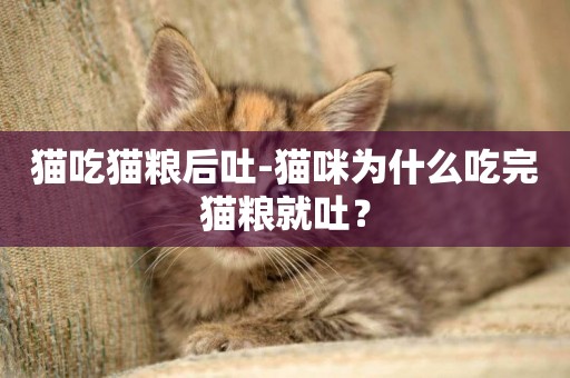 貓吃貓糧后吐-貓咪為什么吃完貓糧就吐？