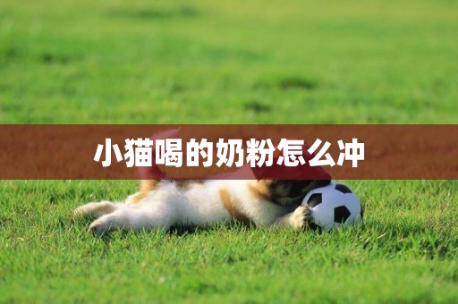 小貓喝的奶粉怎么沖
