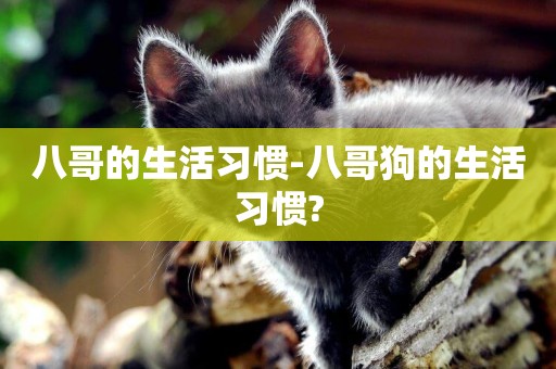 八哥的生活習慣-八哥狗的生活習慣?
