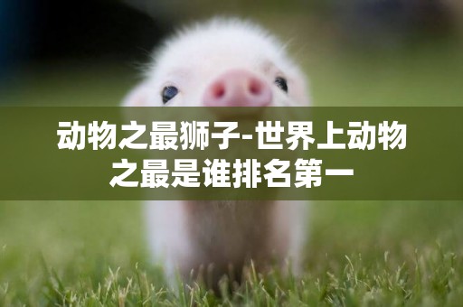 動物之最獅子-世界上動物之最是誰排名第一