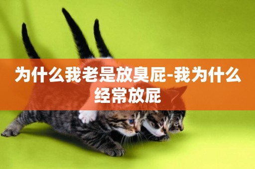 為什么我老是放臭屁-我為什么經常放屁